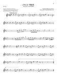 101 PEACEFUL MELODIES FLUTE