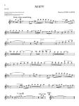 101 PEACEFUL MELODIES FLUTE