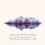 SOZVOČJA/JANEZ DOVČ & SOUNDS OF SLOVENIA