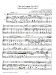 GLUCK/BOHM:CHE FARO SENZA EURIDICE ARIE  ORFEO ED EURIDICE FLOTE & KLAVIER