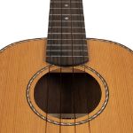 CASCHA Concert Ukulele Cedar Solid Top incl.bag CUCCS1