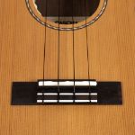 CASCHA Concert Ukulele Cedar Solid Top incl.bag CUCCS1