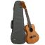 CASCHA Concert Ukulele Cedar Solid Top with Pickup incl.bag CUCCS1-EQ