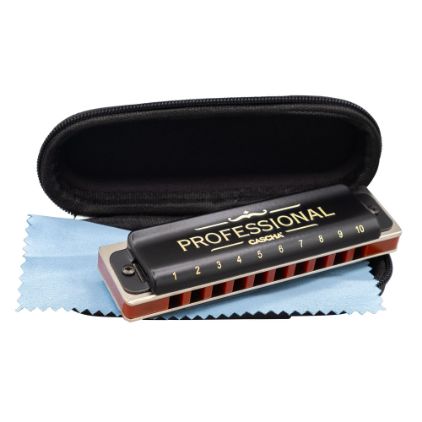 CASCHA ustna hamonika Professional Blues Harmonica in E Diatonic HH-2220